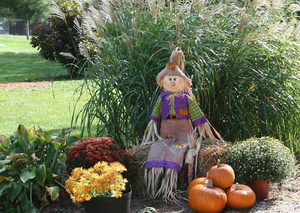 découvrez nos conseils et astuces pour un jardinage réussi le dimanche. profitez de ce moment de détente pour entretenir vos plantes, créer de nouveaux espaces verts et vous reconnecter avec la nature.