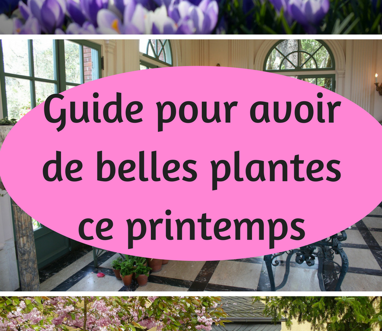 découvrez nos meilleures astuces de jardinage pour le printemps! apprenez à préparer votre jardin, choisir les bonnes plantes et optimiser votre espace vert. faites de votre jardin un havre de paix cet été grâce à nos conseils pratiques et adaptés.