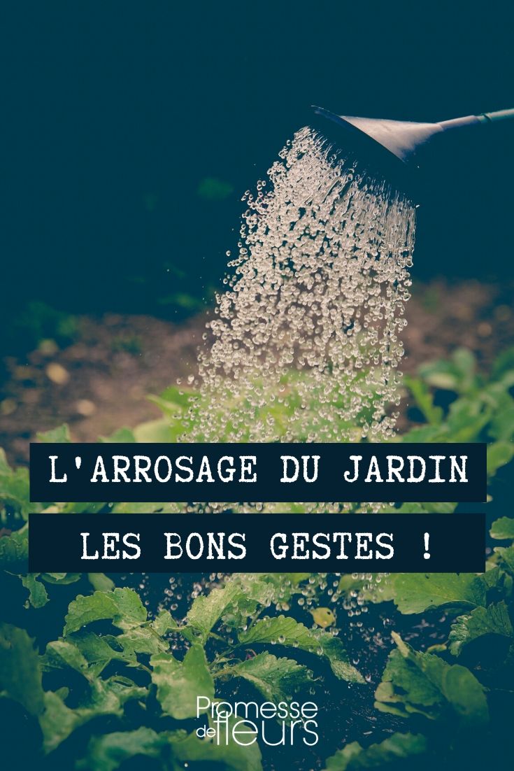 découvrez la méthode d'arrosage idéale pour votre jardin ! apprenez les techniques efficaces pour irriguer vos plantes, économiser de l'eau et favoriser une croissance saine. transformez votre espace vert en un havre de paix grâce à nos conseils pratiques.