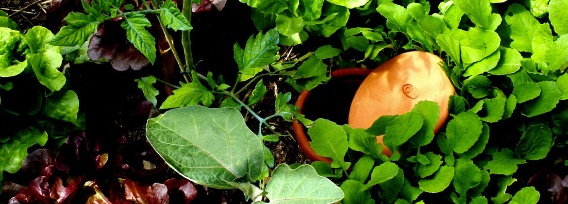 découvrez comment les oyas peuvent vous aider à économiser de l'eau tout en prenant soin de vos plantes. apprenez à utiliser cette méthode d'irrigation écologique pour un jardin plus durable et moins gourmand en ressources.