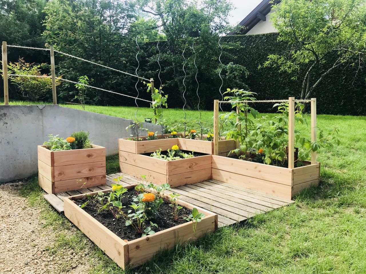 découvrez nos faq sur les carrés potagers : conseils d'experts, astuces pratiques et réponses à toutes vos questions pour créer un jardin potager réussi. cultivez vos légumes facilement et efficacement !