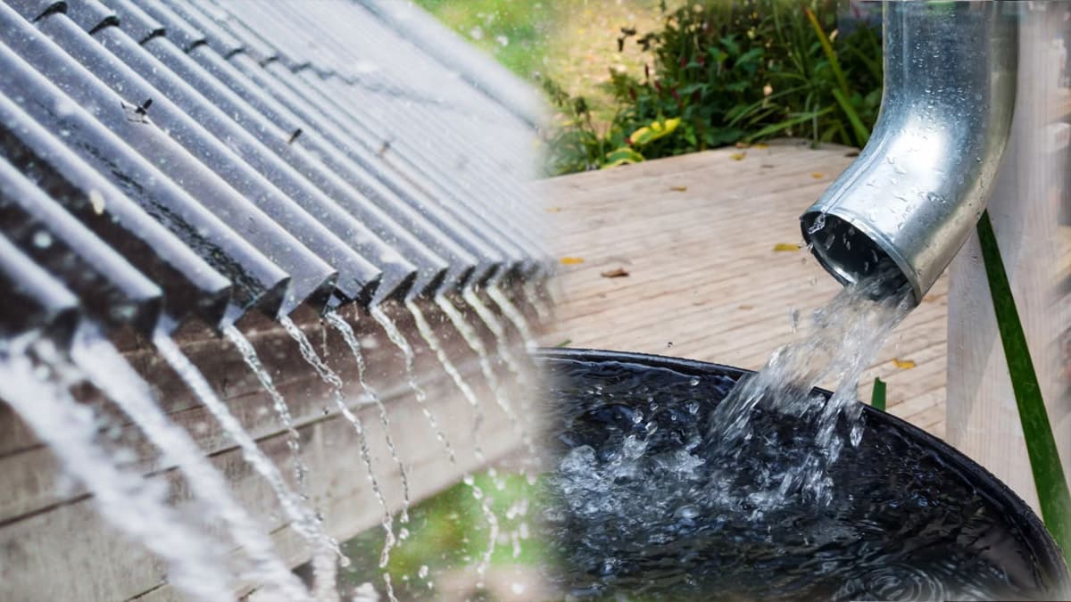 découvrez les règles essentielles pour la récupération d'eau de pluie : avantages, législation et meilleures pratiques pour préserver cette ressource naturelle. apprenez à optimiser votre système de collecte et à respecter les normes en vigueur.