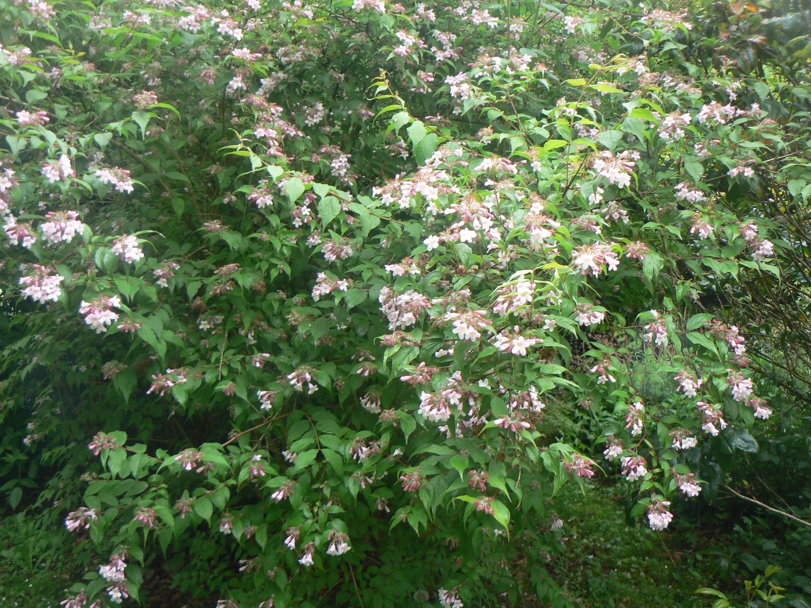 découvrez les gestes essentiels pour profiter pleinement de la floraison des plantes au mois de mai et préparez-vous à accueillir un été éclatant de couleurs et de senteurs. astuces de jardinage et conseils de culture à ne pas manquer !