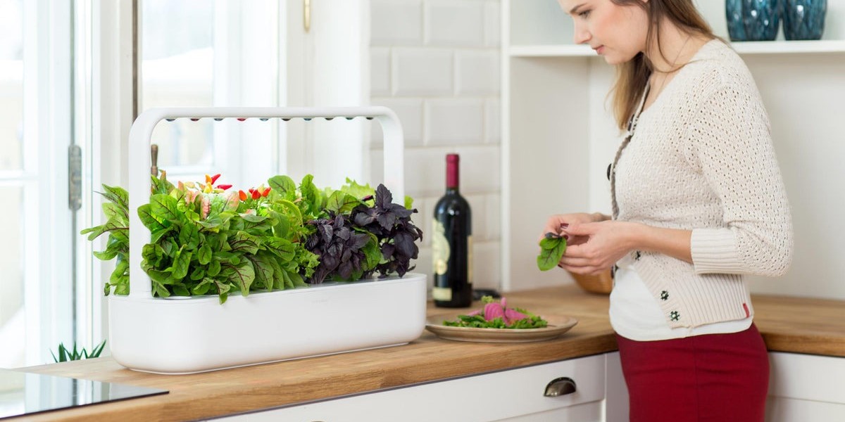 découvrez les dernières innovations en matière de jardin intelligent : technologies de pointe, systèmes d'irrigation automatisés, et solutions écologiques pour transformer votre espace extérieur en un oasis connecté et durable.