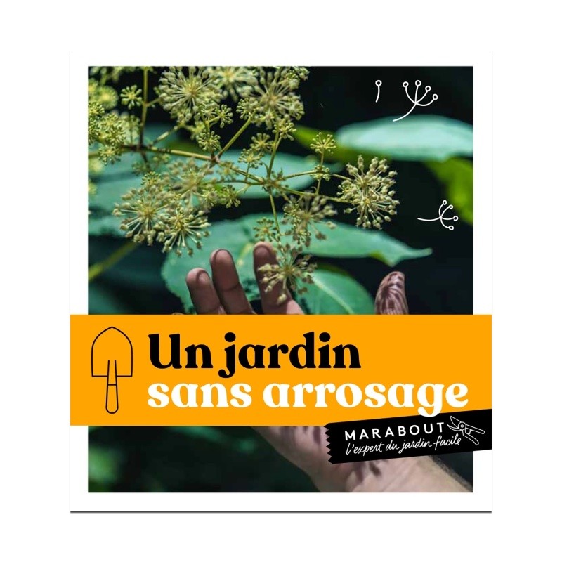 découvrez comment créer un jardin sans arrosage, alliant esthétique et durabilité. apprenez les techniques de plantation et les choix de plantes adaptées pour réduire l'eau tout en profitant d'un espace extérieur verdoyant et écoresponsable.