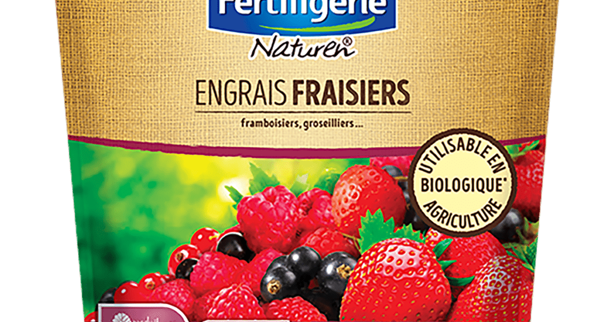 découvrez nos conseils pour entretenir votre jardin en mai : techniques d'arrosage, choix des engrais adaptés et astuces pour attirer la faune bénéfique. faites de votre espace extérieur un havre de paix et de biodiversité !