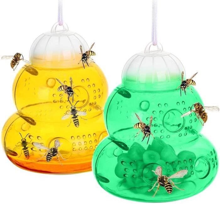 découvrez comment utiliser des piéges efficaces pour protéger votre jardin cet été. apprenez à gérer les nuisibles tout en préservant vos plantes et en profitant d'un espace extérieur sain et accueillant.