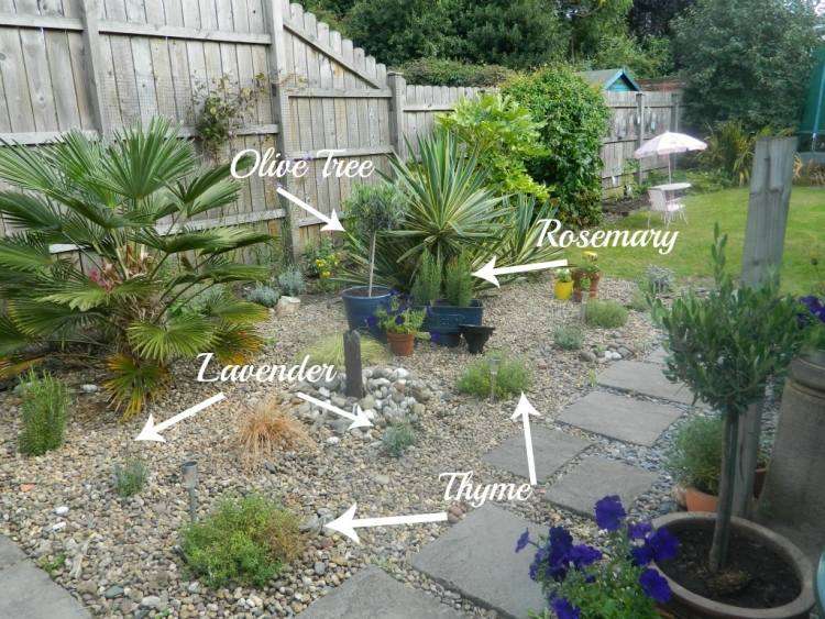 découvrez les meilleures plantes sèches pour votre jardin ! apprenez à choisir et à entretenir des végétaux résistants à la chaleur et à la sécheresse. transformez votre espace extérieur en un havre de paix tout en réduisant votre consommation d'eau.