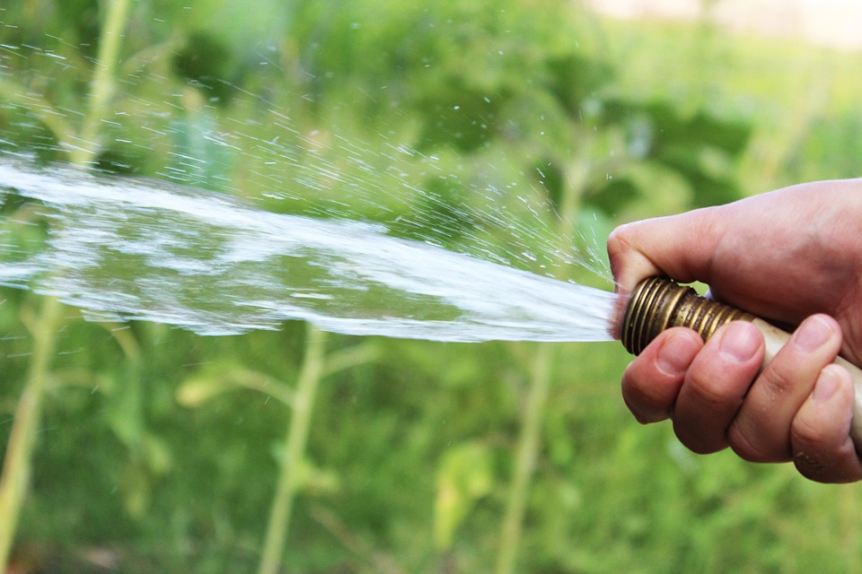 découvrez des astuces efficaces pour l'arrosage des concombres et des courgettes, afin d'assurer une récolte abondante et de qualité. apprenez à maîtriser les besoins en eau de ces légumes délicats pour optimiser leur croissance.