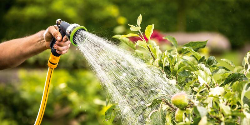 découvrez nos conseils et astuces pour un arrosage efficace de votre jardin. optimisez l'eau, préservez vos plantes et créez un espace verdoyant tout au long de l'année.