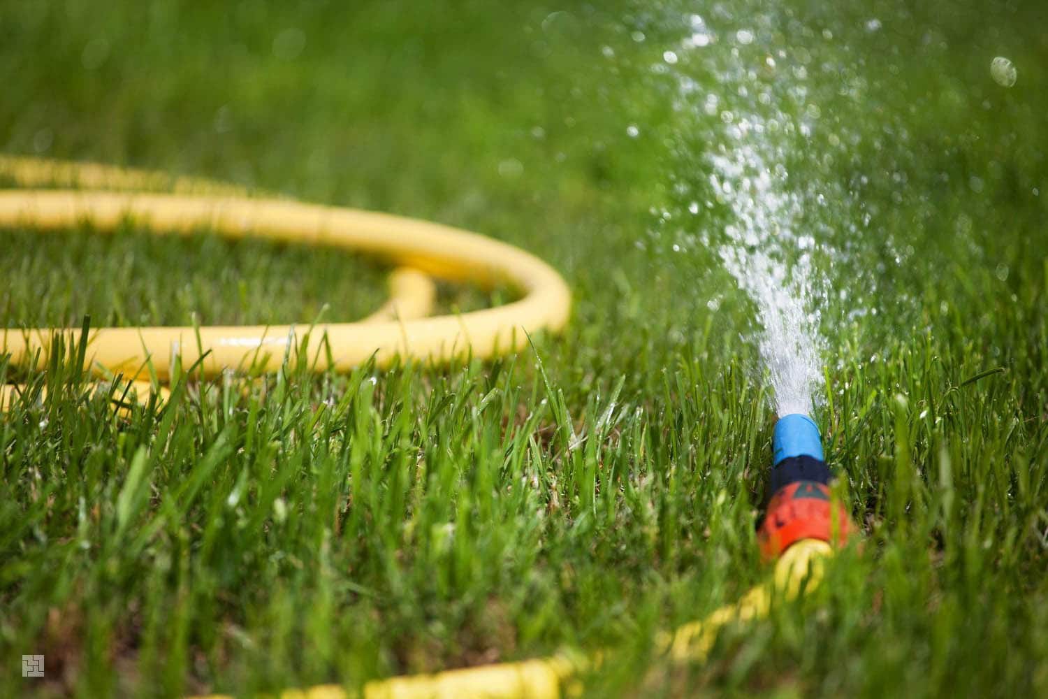 découvrez nos conseils et astuces pour un arrosage efficace du jardin. apprenez à optimiser l'irrigation de vos plantes tout en économisant de l'eau, et assurez une floraison éclatante grâce à un arrosage adapté.