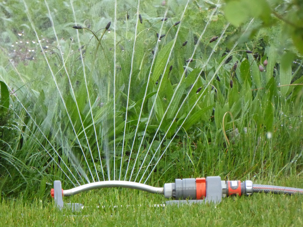 découvrez des astuces pratiques pour l'arrosage de votre jardin en période de sécheresse. apprenez à conserver l'humidité du sol, à choisir les meilleures plantes et à optimiser vos techniques d'irrigation pour un jardin florissant tout l'été.