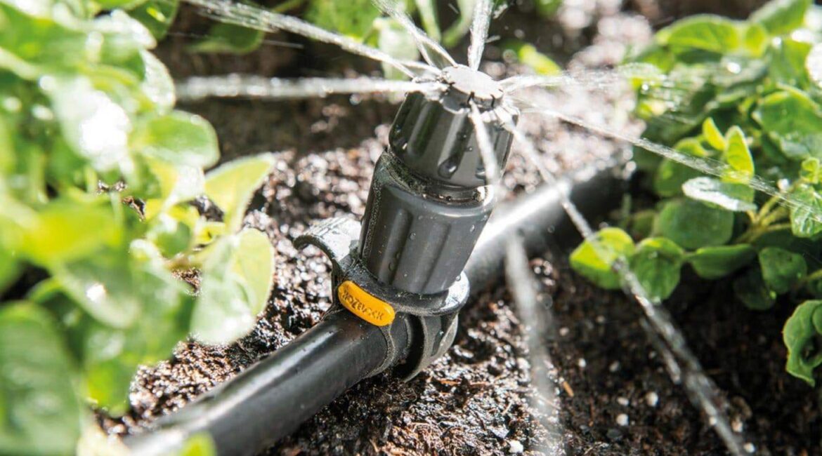 découvrez des astuces et des techniques d'arrosage efficaces pour votre jardin en période de sécheresse. apprenez comment préserver vos plantes tout en économisant de l'eau grâce à des méthodes adaptées à chaque type de végétation.