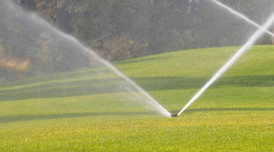 découvrez nos conseils efficaces pour l'arrosage de vos plantes en période de chaleur. assurez une bonne hydratation et protégez vos végétaux des effets néfastes du soleil brûlant. apprenez les meilleures techniques d'arrosage pour des plantes en pleine santé, même pendant les chaudes journées d'été.