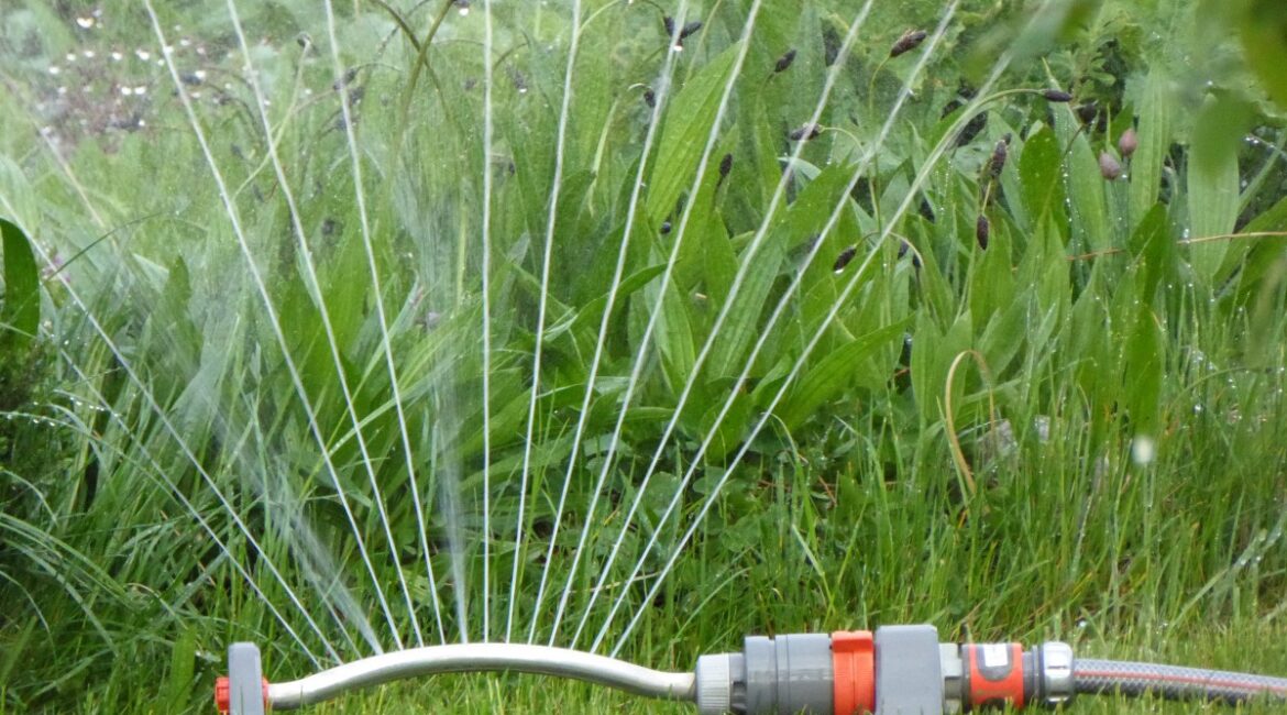 découvrez nos conseils pratiques pour un arrosage efficace de vos plantes pendant les périodes de chaleur. assurez la santé et la beauté de votre jardin malgré les fortes températures.