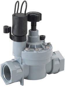 découvrez les meilleures astuces pour un arrosage efficace de vos plantes durant l'été. protégez votre jardin de la chaleur et assurez une croissance épanouissante.