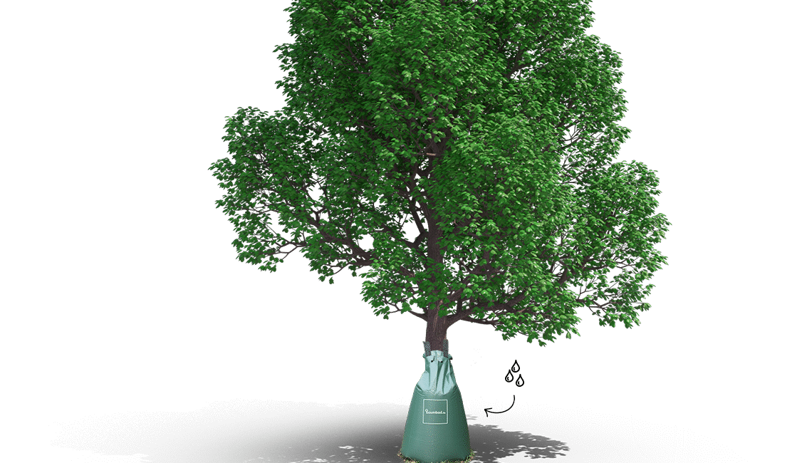 découvrez baumbad irrigation, votre solution innovante pour une gestion efficace de l'eau dans l'agriculture. optimisez vos cultures et réduisez votre consommation d'eau grâce à nos systèmes d'irrigation adaptés aux besoins de votre exploitation.