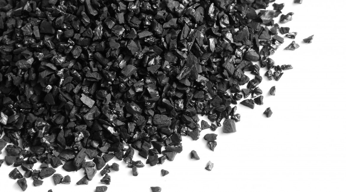 découvrez comment le charbon végétal peut améliorer l'arrosage de vos plantes en facilitant l'absorption d'eau et des nutriments. idéal pour jardiniers et amateurs de botanique, ce guide vous dévoile les avantages et les techniques d'utilisation du charbon pour un jardin en pleine santé.