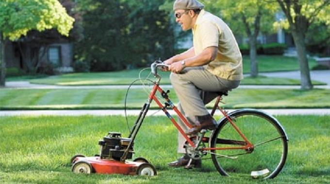 découvrez comment entretenir votre jardin d'été avec des conseils pratiques sur l'arrosage, la tonte de la pelouse et l'élimination des mauvaises herbes. obtenez des astuces pour faire fleurir votre espace extérieur tout en le gardant sain et beau.