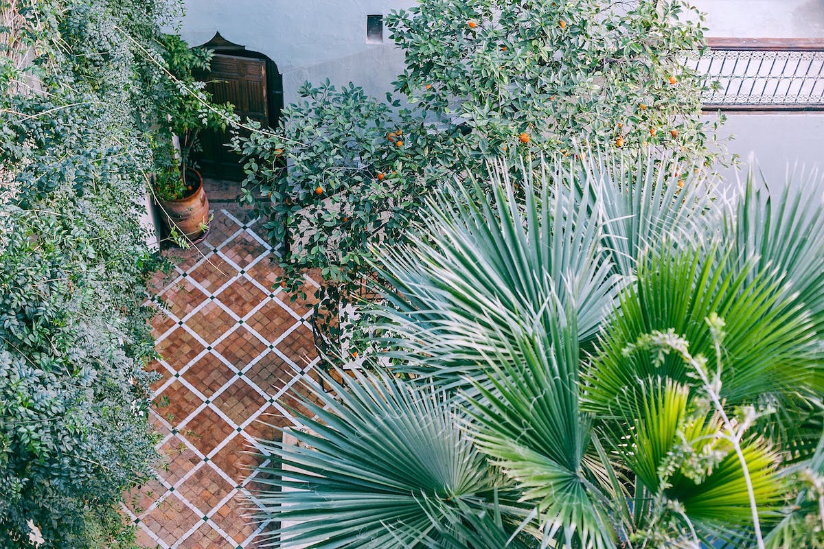 découvrez les secrets du jardinage durable : des méthodes respectueuses de l'environnement pour cultiver votre jardin tout en préservant la biodiversité. améliorez votre écosystème local avec des pratiques écologiques, des astuces pour réduire les déchets et des conseils pour une culture saine et responsable.