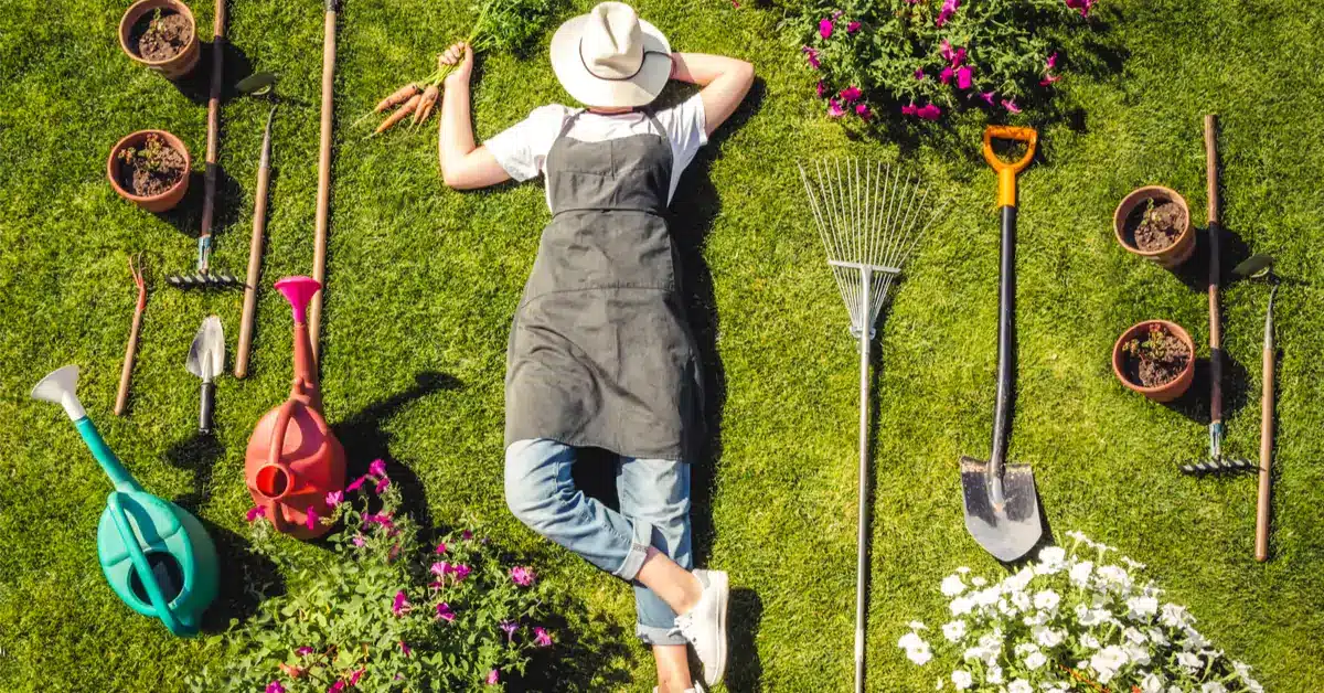 découvrez les techniques innovantes du jardinage sans arrosage pour cultiver vos plantes tout en préservant l'eau. adoptez des méthodes écologiques et durables qui favorisent la santé de votre jardin, même en période de sécheresse.