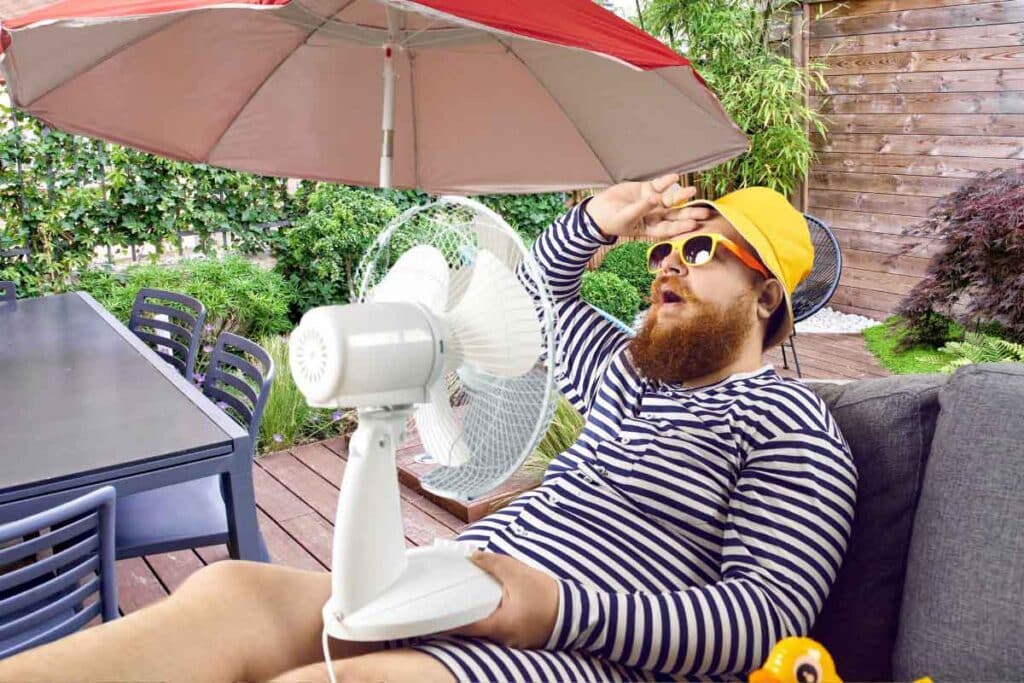 découvrez nos conseils pratiques pour protéger votre jardin pendant les périodes de canicule. apprenez à maintenir l'humidité du sol, choisir les bonnes plantes et mettre en place des techniques d'irrigation efficaces pour garantir la santé et la beauté de votre espace vert même sous la chaleur écrasante.