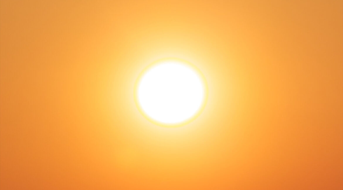 découvrez des astuces et conseils pratiques pour protéger votre jardin pendant les fortes chaleurs de la canicule. préservez vos plantes et fleurs, garantissez leur santé et leur beauté tout au long de l'été.