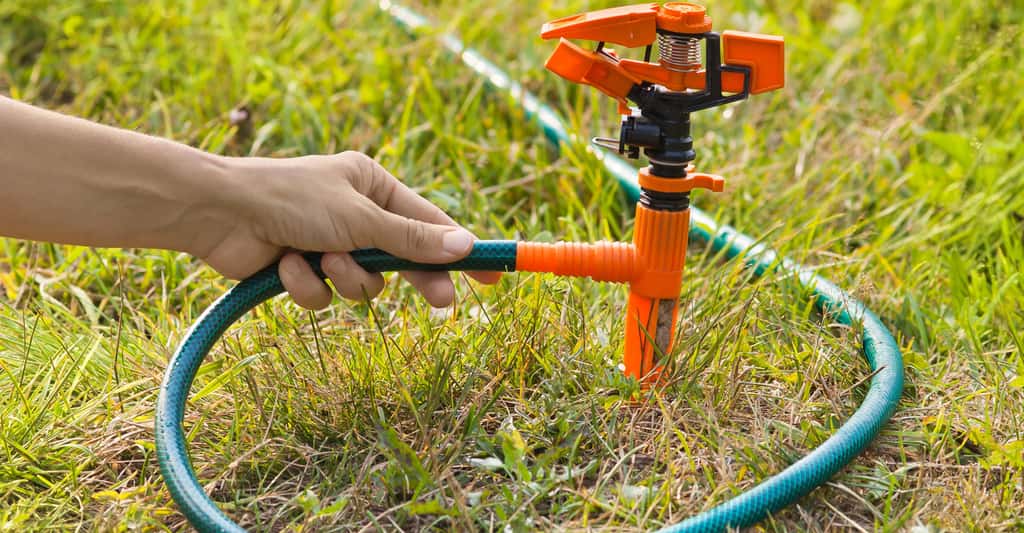 découvrez nos conseils essentiels pour l'arrosage des arbres pendant la canicule. apprenez à maintenir vos arbres en bonne santé malgré des températures élevées, avec des techniques d'irrigation efficaces et adaptées aux besoins spécifiques de chaque espèce.