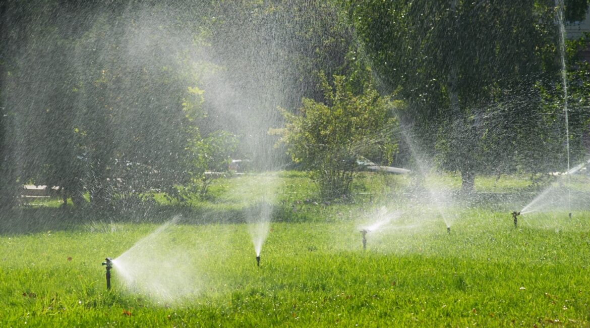 découvrez nos conseils pratiques pour l'arrosage des arbres pendant les périodes de canicule. assurez la santé de vos plantations face à la chaleur extrême et préservez leur vitalité tout en optimisant votre consommation d'eau.
