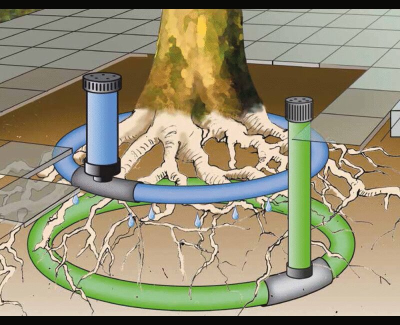 découvrez nos conseils pratiques pour un arrosage estival efficace. apprenez à optimiser l'eau pour vos plantes, à choisir les meilleures techniques d'irrigation et à préserver la santé de votre jardin pendant les mois chauds.
