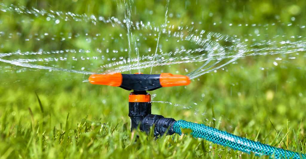 découvrez l'importance de l'arrosage quotidien pour maintenir votre jardin en pleine santé. apprenez les meilleures pratiques d'arrosage pour chaque type de plante, les moments idéaux de la journée pour arroser et comment optimiser l'utilisation de l'eau. faites prospérer vos cultures grâce à nos conseils d'experts.