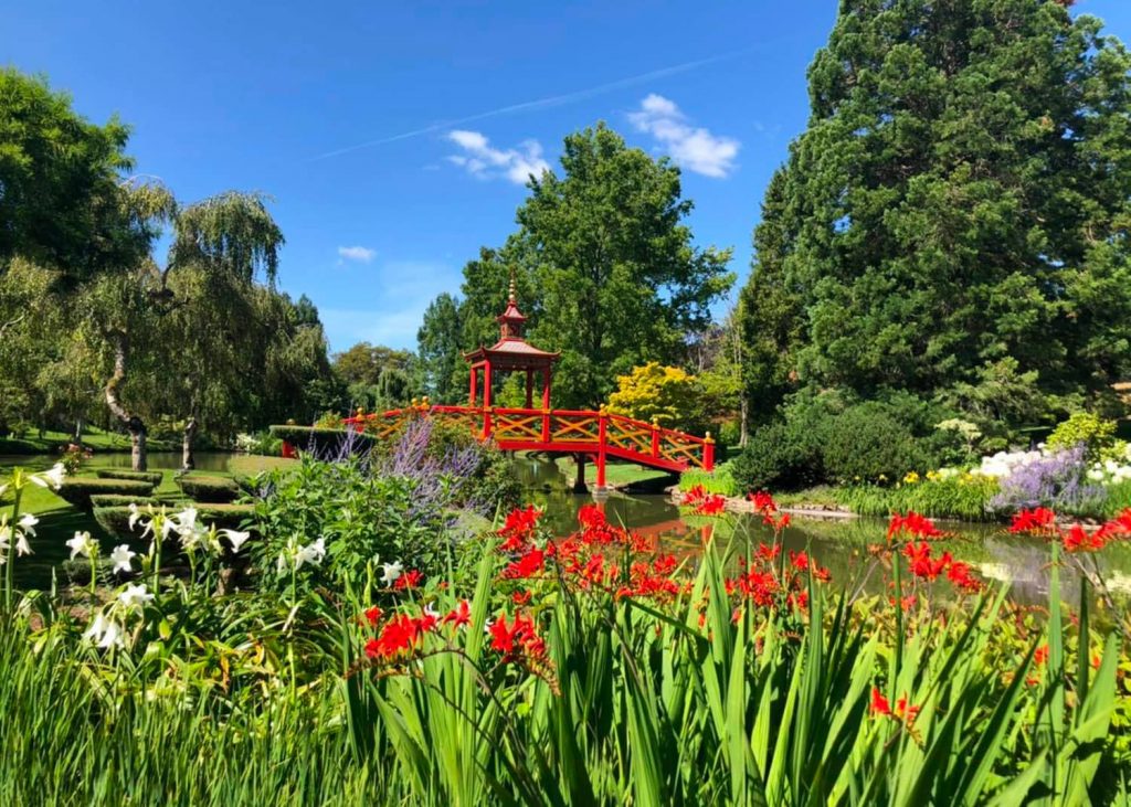 découvrez nos 5 astuces essentielles pour bien gérer votre jardin en période de chaleur. apprenez à préserver la santé de vos plantes, à optimiser l'arrosage et à créer des espaces ombragés pour un jardin luxuriant même sous le soleil brûlant.