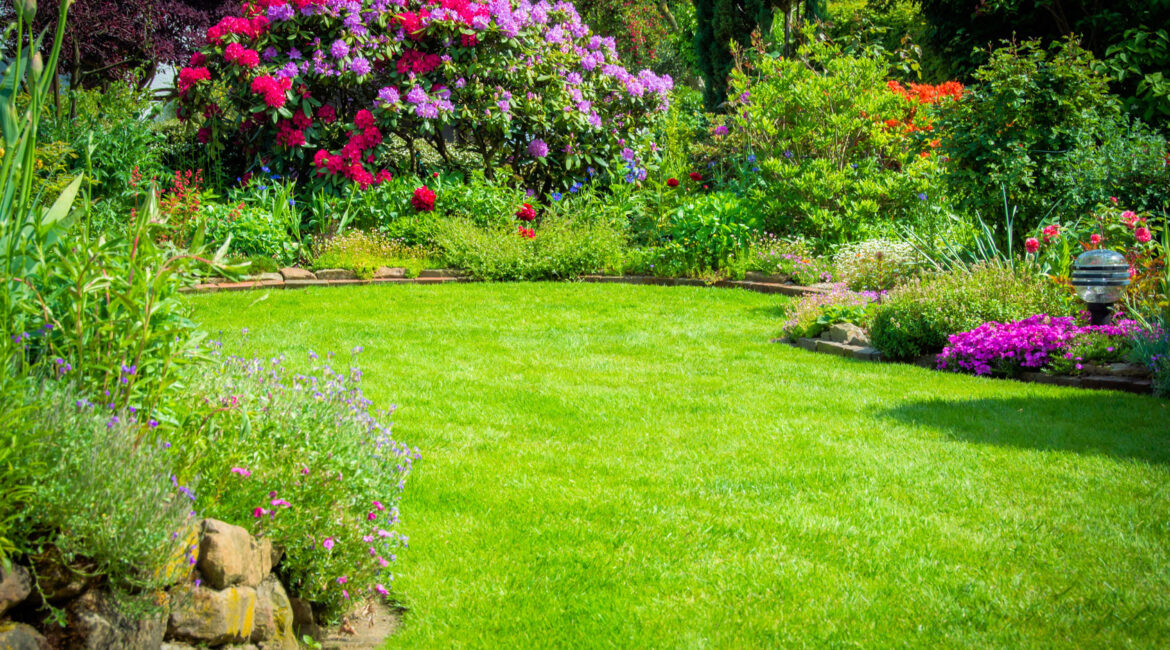 découvrez comment créer un jardin sans arrosage grâce à nos conseils et astuces pratiques. optez pour des plantes résistantes à la sécheresse et des techniques de paillage pour un espace vert magnifique et durable, tout en préservant l'eau.