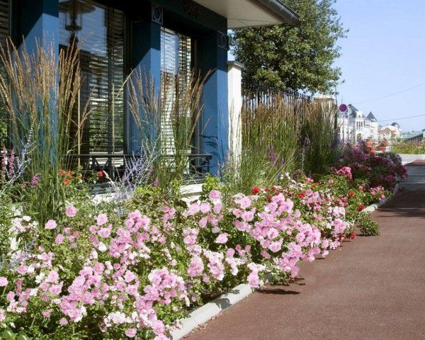 découvrez nos rosiers estivaux éco-responsables, parfaits pour embellir votre jardin tout en respectant l'environnement. profitez de fleurs éclatantes et d'un entretien facilité, tout en cultivant la biodiversité. transformez votre espace extérieur avec des variétés durables et élégantes.