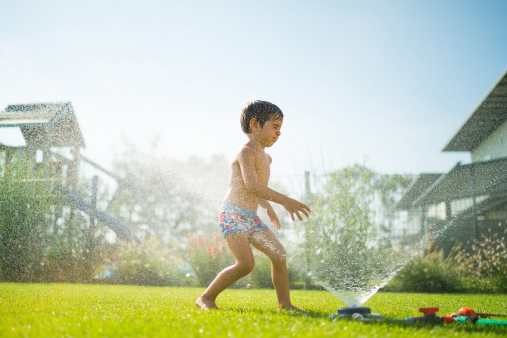 découvrez des astuces efficaces pour un arrosage optimal lors des vagues de chaleur. protégez vos plantes et jardins en apprenant à gérer l'eau durant les périodes caniculaires.