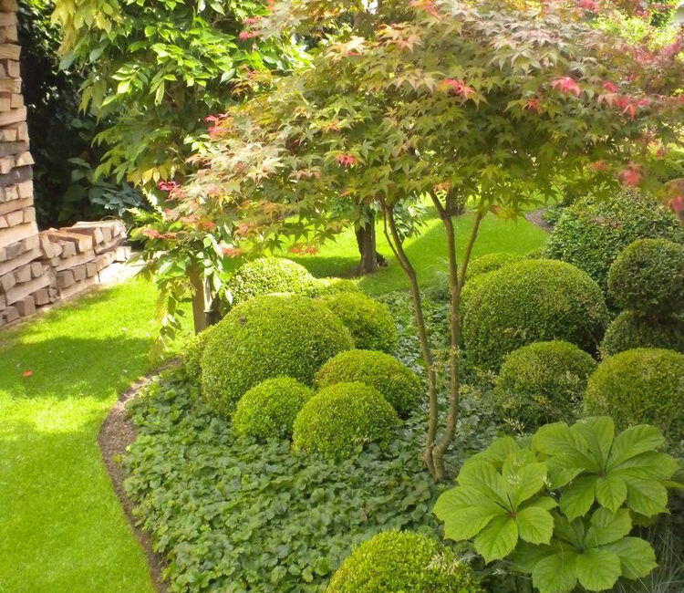 découvrez nos conseils pratiques pour un arrosage de jardin efficace et économique. apprenez à choisir le meilleur système d’arrosage et à adapter l’arrosage selon les besoins de vos plantes.