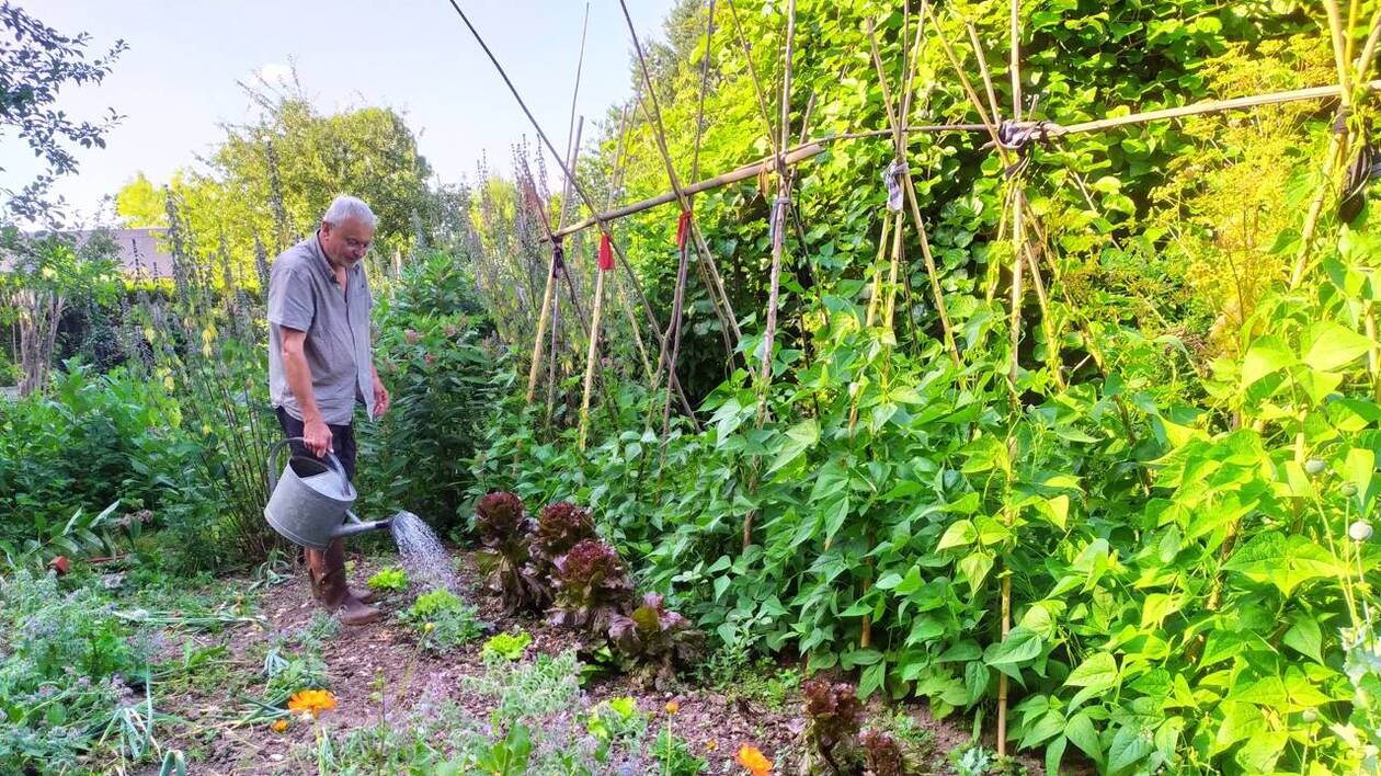 découvrez nos conseils pratiques pour assurer l'arrosage de votre jardin pendant les vacances : astuces, solutions automatiques et précautions à prendre pour retrouver un jardin verdoyant à votre retour.