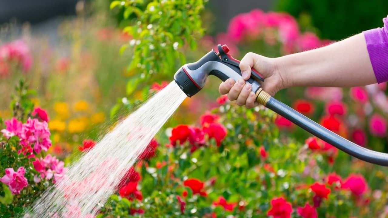 découvrez nos meilleures astuces d'arrosage pour le jardin afin de maintenir vos plantes en bonne santé, économiser l'eau et obtenir une floraison abondante toute l'année !