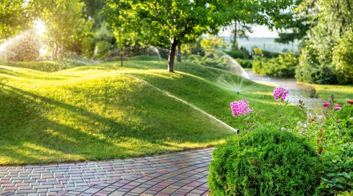 découvrez nos meilleures astuces pour un arrosage de jardin efficace et économique. conseils pratiques pour garder vos plantes en bonne santé tout au long de l'année.