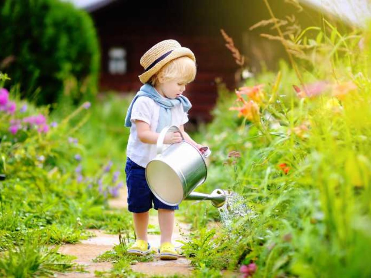 découvrez nos conseils pratiques pour économiser l'eau dans votre jardin cet été et préserver cette ressource précieuse tout en gardant vos plantes en bonne santé.