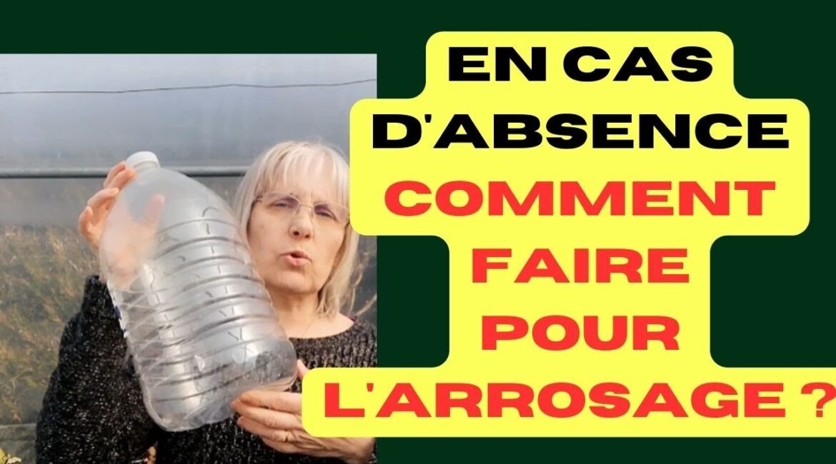 découvrez les erreurs courantes d’arrosage à éviter en août pour garder votre jardin en bonne santé et économiser l’eau. conseils pratiques et astuces pour un arrosage optimal en été.
