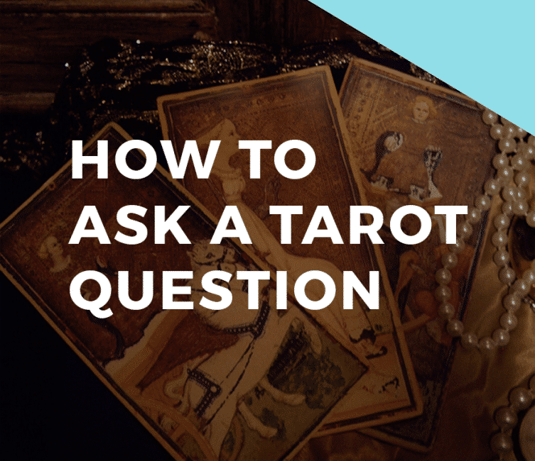 découvrez notre guide jardin du mois d’août : conseils d’entretien, plantations, arrosage et astuces pour profiter pleinement de votre jardin en été.