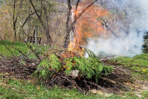 découvrez nos conseils pour prévenir les incendies dans votre jardin et adoptez les bons gestes de vigilance pour protéger votre espace extérieur en été.