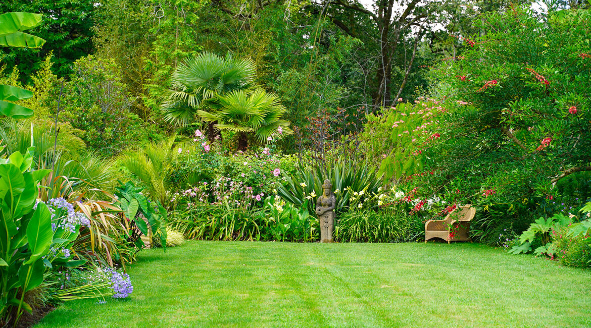 découvrez les conseils essentiels pour l'arrosage et l'entretien de votre potager en août. maximisez la santé de vos plantes et récoltez des légumes savoureux tout au long de l'été.