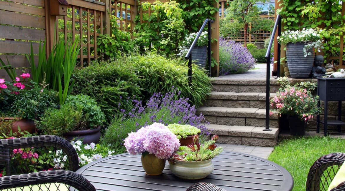 découvrez 3 vivaces incontournables à planter pour créer un jardin coloré, facile à entretenir et éclatant toute la saison. conseils et idées pour un espace fleuri !