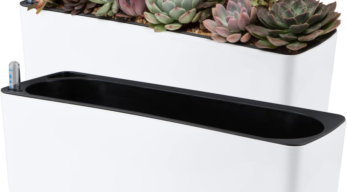 découvrez nos pics auto-arrosants, une solution pratique et économique pour arroser vos plantes automatiquement pendant votre absence. faciles à utiliser, adaptés à tous types de pots, ils assurent une hydratation optimale pour des plantes en pleine santé.