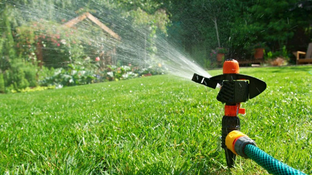 découvrez pourquoi l'arrosage des choux la nuit est recommandé, ses avantages pour la santé des plantes et des conseils pratiques pour optimiser l'humidité et prévenir les maladies.