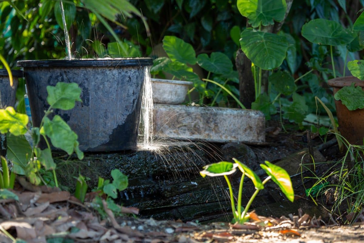 découvrez comment adopter des solutions d’arrosage durable pour votre jardin afin d’économiser l’eau, préserver l’environnement et favoriser la santé de vos plantes tout au long de l’année.