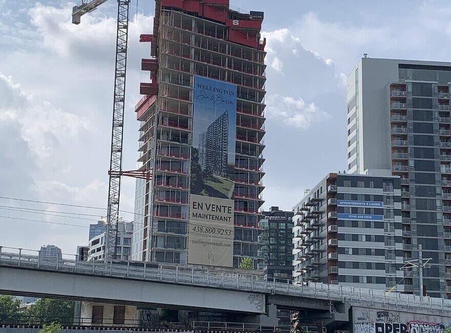 dĂ©couvrez les restrictions dâarrosage en vigueur Ă wellington : horaires, consignes et conseils pour Ă©conomiser lâeau tout en entretenant votre jardin. renseignez-vous sur la rĂ©glementation locale pour un arrosage responsable.