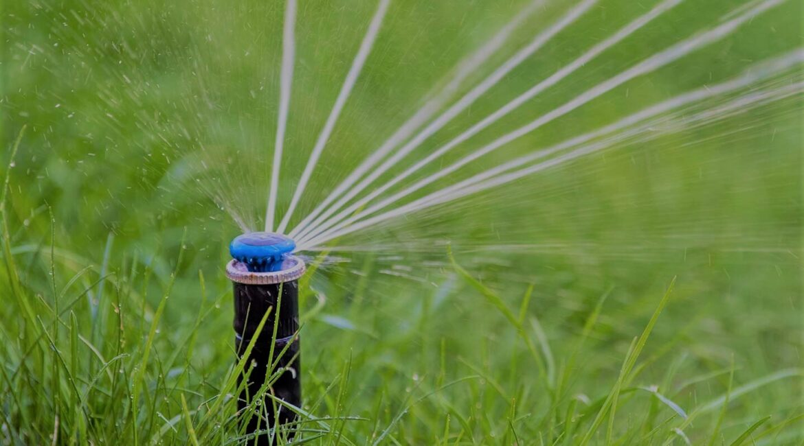 découvrez les règles et restrictions concernant l'arrosage dans les départements du doubs et du territoire de belfort. informez-vous sur les conditions du permis d'arrosage, les périodes autorisées et les conseils pratiques pour préserver l'eau.